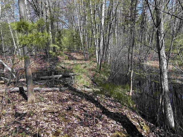Leaf Rd, Marinette, WI 54143