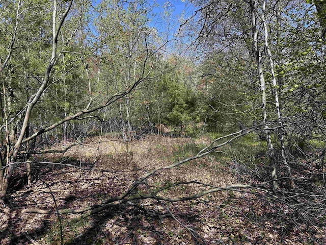Leaf Rd, Marinette, WI 54143