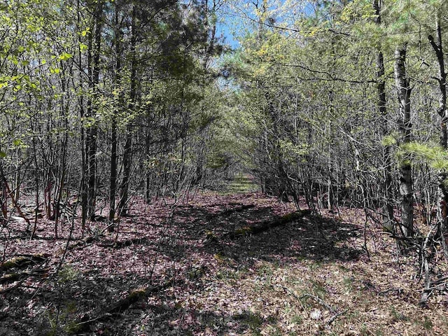 Leaf Rd, Marinette, WI 54143