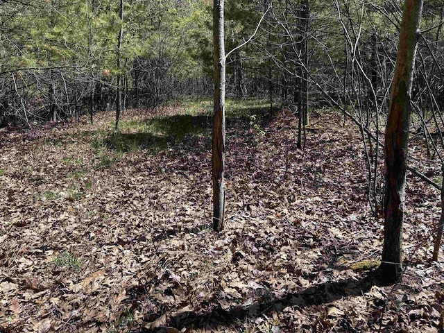 Leaf Rd, Marinette, WI 54143