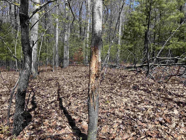 Leaf Rd, Marinette, WI 54143
