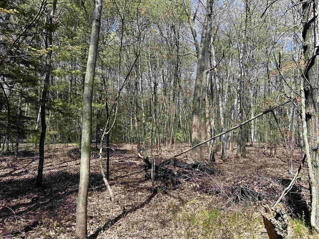 Leaf Rd, Marinette, WI 54143