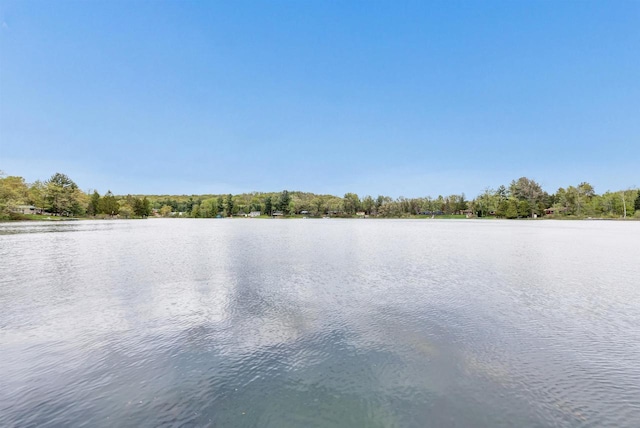 W6576 20th Dr, Wautoma, WI 54982 - water view