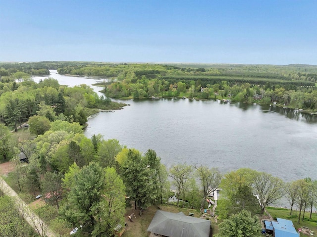 W6576 20th Dr, Wautoma, WI 54982 - bird's eye view of a large body of water and a forest