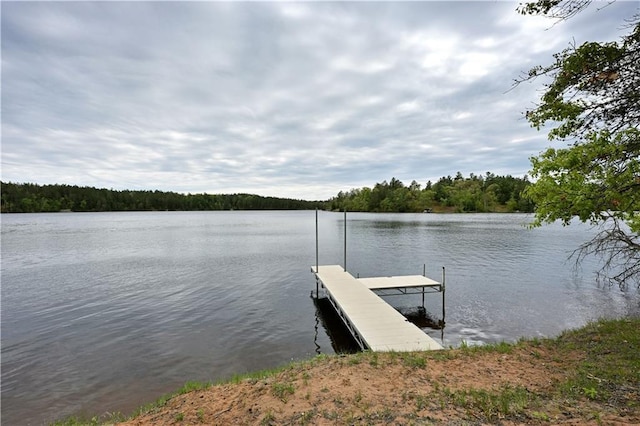 W7607 Whitetail Dr, Minong, WI 54859 - dock featuring a water view and a view of trees