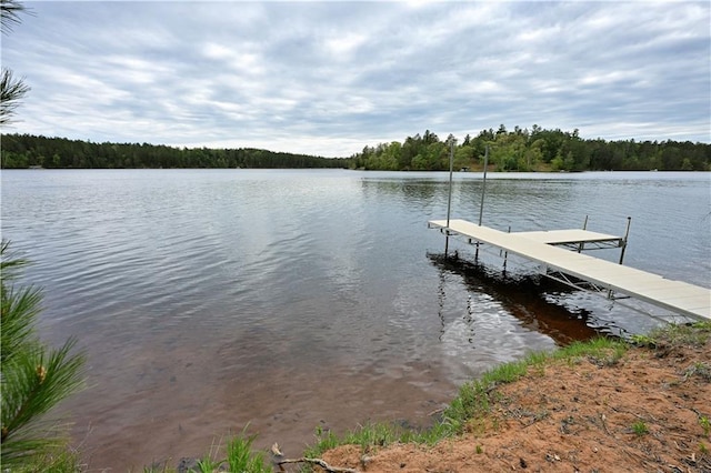 W7607 Whitetail Dr, Minong, WI 54859 - dock area featuring a water view and a forest view
