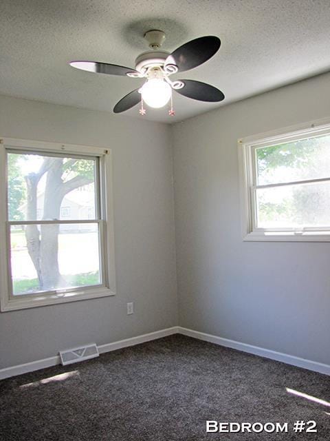 79 1st Ave, Benton, WI 53803 - spare room featuring healthy amount of natural light, a textured ceiling, a ceiling fan, dark colored carpet, and baseboards