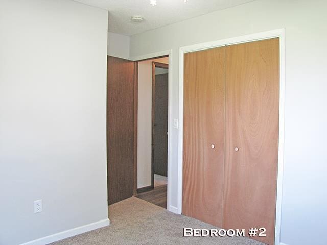 79 1st Ave, Benton, WI 53803 - unfurnished bedroom with a closet, carpet, and baseboards