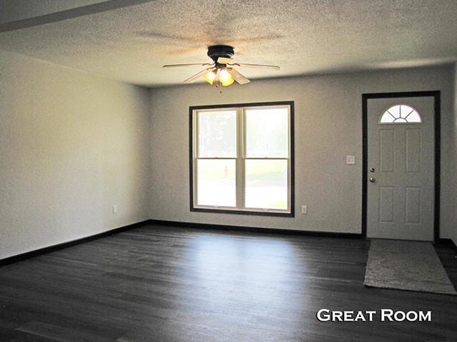 79 1st Ave, Benton, WI 53803 - entrance foyer with dark wood-type flooring, a ceiling fan, baseboards, and a textured ceiling