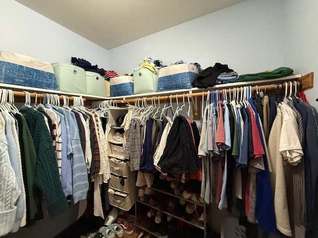 407 Overlook Ter, Marshall, WI 53559 - view of spacious closet