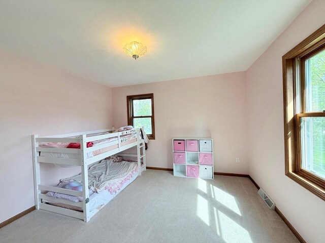 407 Overlook Ter, Marshall, WI 53559 - carpeted bedroom with multiple windows and baseboards