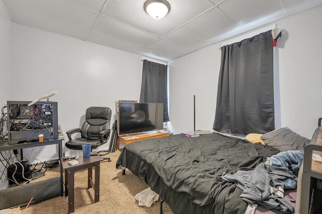 1515 Harrison St, Oshkosh, WI 54901 - bedroom with carpet flooring and a paneled ceiling