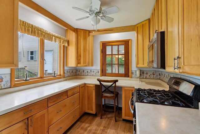 E14485 Baltic Ave, Merrimac, WI 53561 - kitchen with appliances with stainless steel finishes, light countertops, a ceiling fan, and light wood-style floors