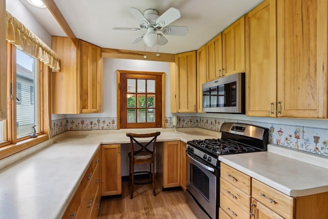 E14485 Baltic Ave, Merrimac, WI 53561 - kitchen with stainless steel appliances, healthy amount of natural light, light countertops, and ceiling fan