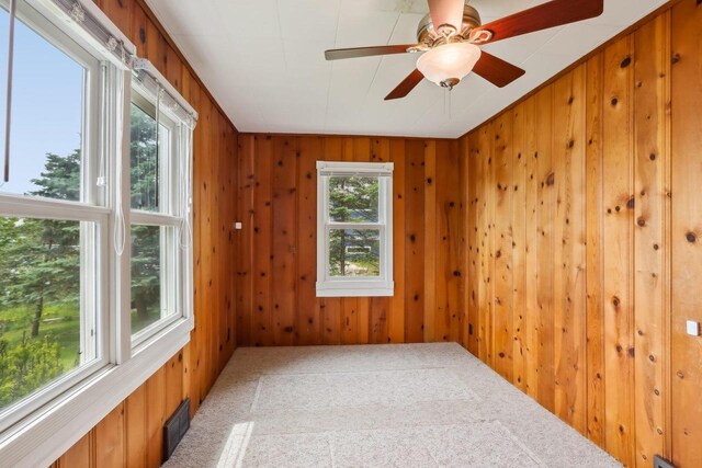 E14485 Baltic Ave, Merrimac, WI 53561 - spare room featuring carpet floors, wooden walls, and a ceiling fan