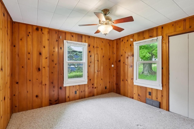 E14485 Baltic Ave, Merrimac, WI 53561 - spare room featuring plenty of natural light, carpet, a ceiling fan, and wooden walls