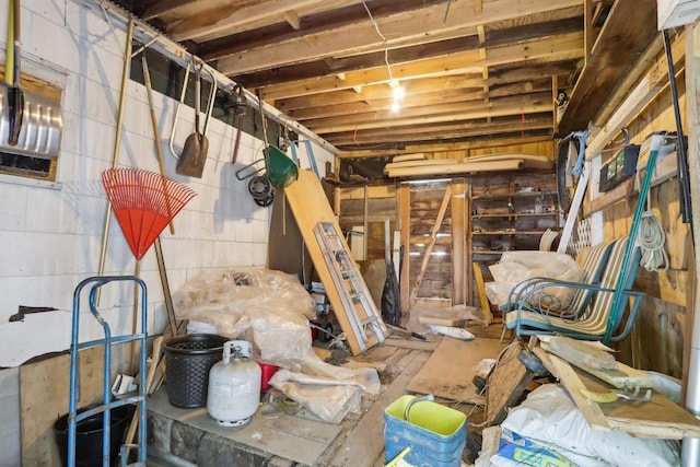 E14485 Baltic Ave, Merrimac, WI 53561 - view of unfinished basement