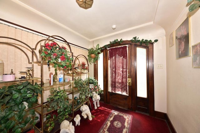entryway featuring carpet floors