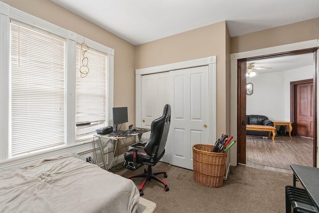 4084 Eagle Mound Pass, Deforest, WI 53532 - bedroom with carpet flooring and a closet