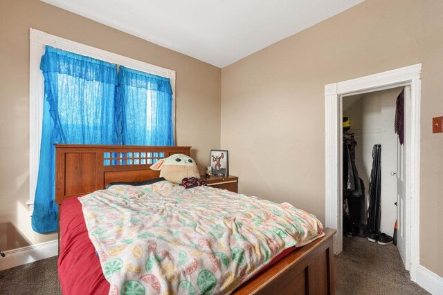4084 Eagle Mound Pass, Deforest, WI 53532 - bedroom featuring carpet floors, a spacious closet, a closet, and baseboards