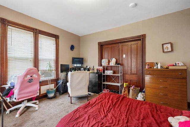 4084 Eagle Mound Pass, Deforest, WI 53532 - view of carpeted bedroom