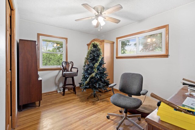 538 124th St, Franksville, WI 53126 - office area featuring healthy amount of natural light, light wood-type flooring, ceiling fan, and a textured ceiling