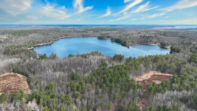 7496 River Rd, Lake Tomahawk, WI 54558 - bird's eye view of a forest and a large body of water