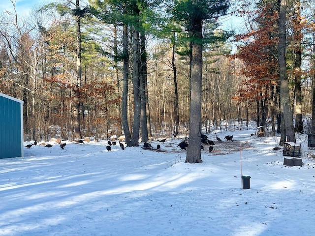 7496 River Rd, Lake Tomahawk, WI 54558 - view of yard layered in snow