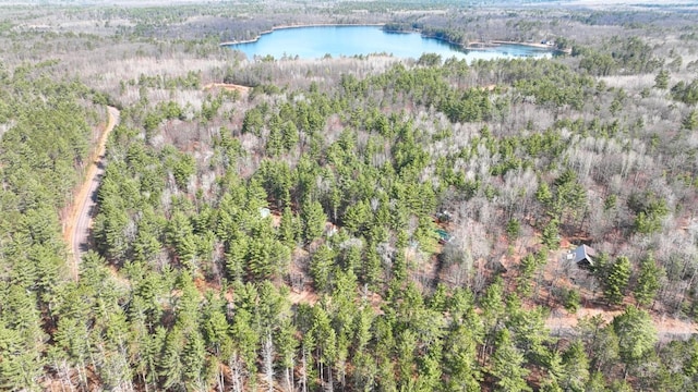 7496 River Rd, Lake Tomahawk, WI 54558 - view of property location featuring a forest and a nearby body of water
