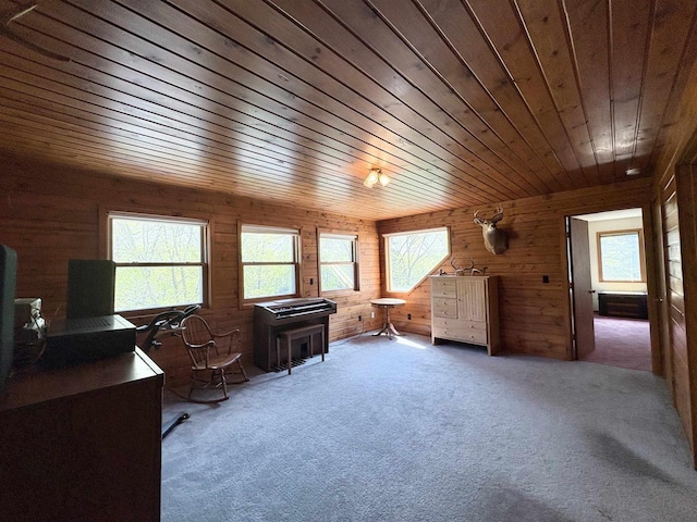 221545 Azalea Rd, Wausau, WI 54401 - living area with wooden ceiling, wooden walls, carpet, plenty of natural light, and an office area
