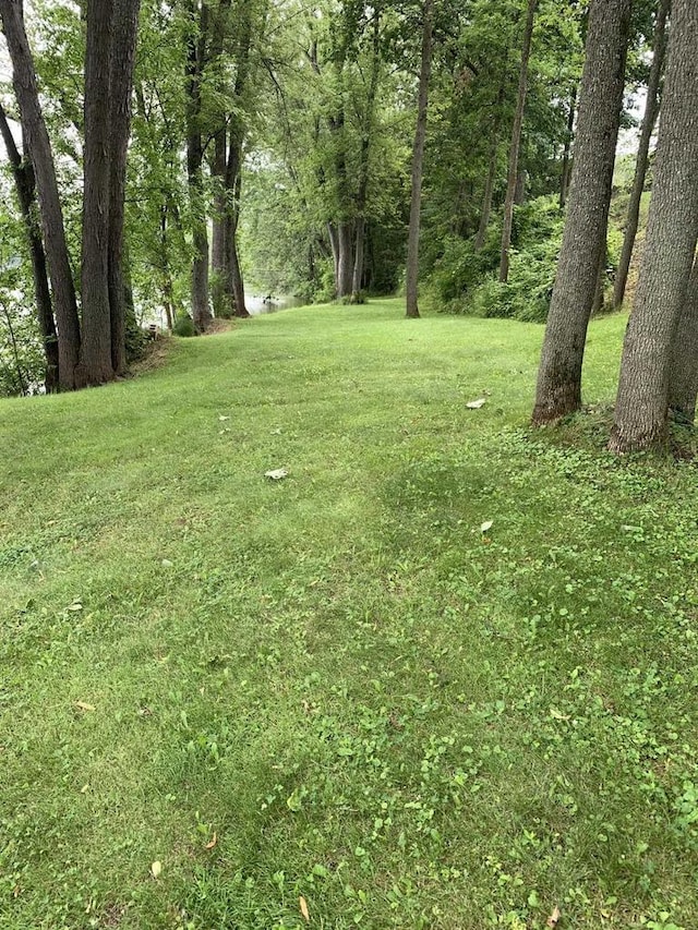 221545 Azalea Rd, Wausau, WI 54401 - view of green lawn