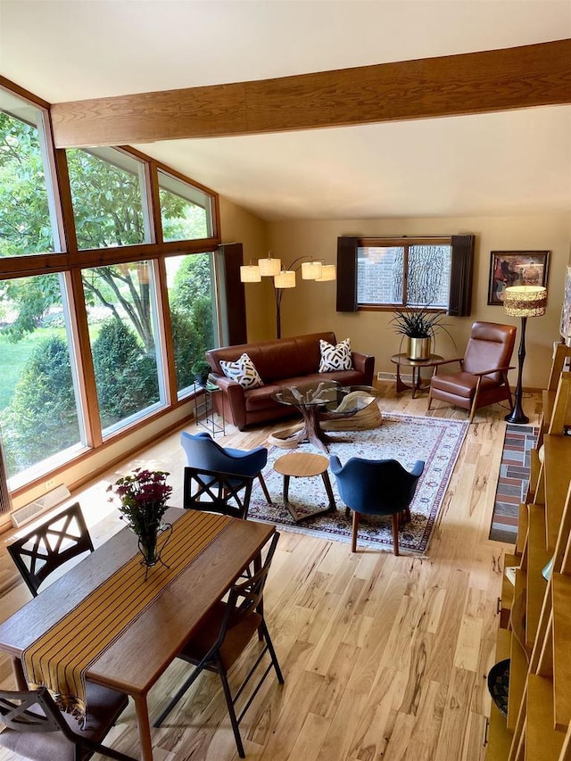 3914 Priscilla Ln, Madison, WI 53705 - living area featuring plenty of natural light and light wood finished floors