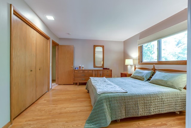 3914 Priscilla Ln, Madison, WI 53705 - bedroom with light wood finished floors and a closet