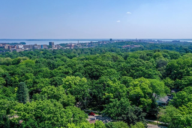 3914 Priscilla Ln, Madison, WI 53705 - aerial view of a forest