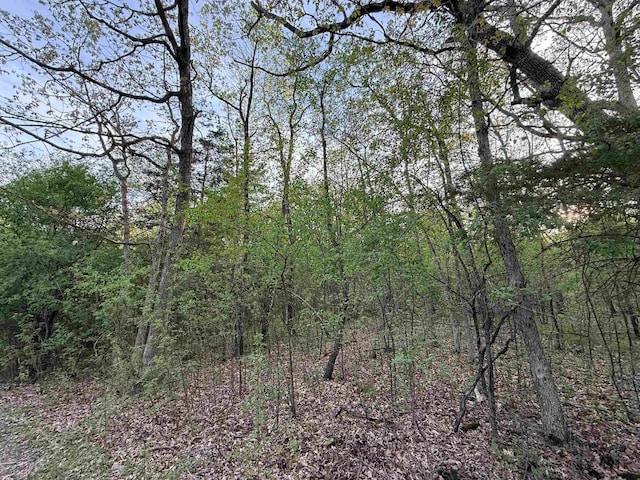 N8718 Starr Rd, Portage, WI 53901 - view of woods
