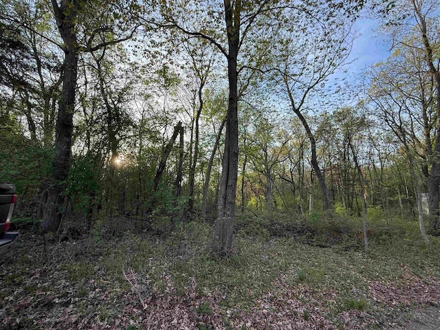 N8718 Starr Rd, Portage, WI 53901 - view of woods
