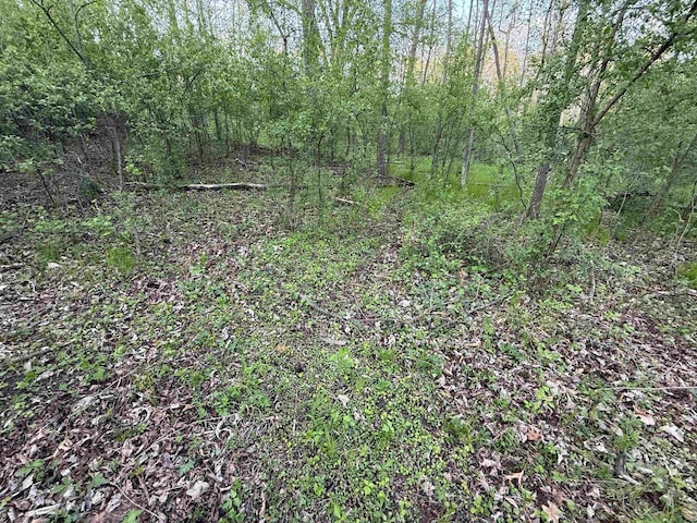 N8718 Starr Rd, Portage, WI 53901 - view of wooded area