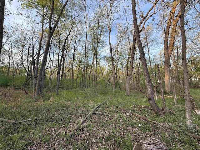 N8718 Starr Rd, Portage, WI 53901 - view of local wilderness