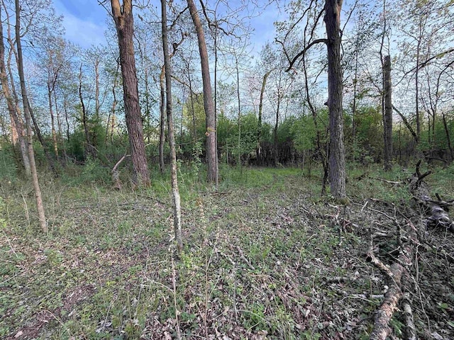 N8718 Starr Rd, Portage, WI 53901 - view of woods