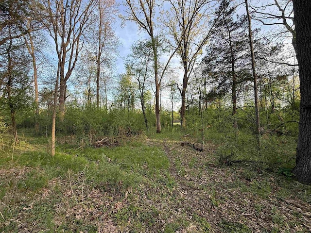 N8718 Starr Rd, Portage, WI 53901 - view of woods