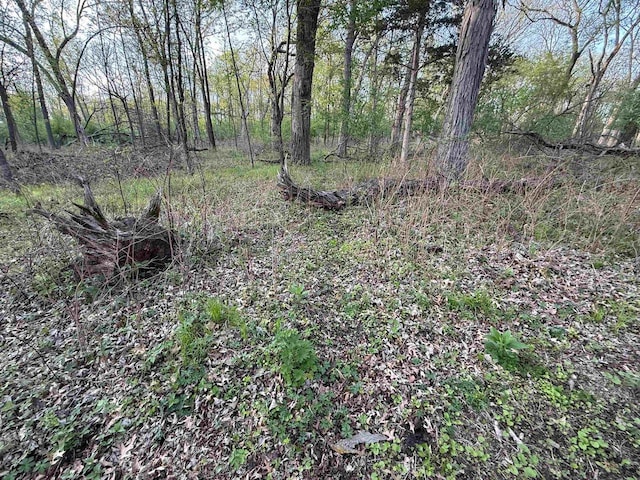 N8718 Starr Rd, Portage, WI 53901 - view of undeveloped land