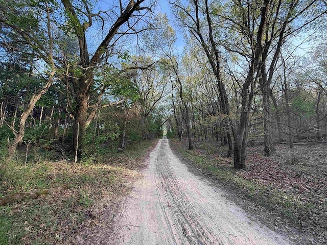 N8718 Starr Rd, Portage, WI 53901 - view of street with a view of trees