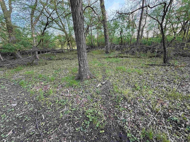 N8718 Starr Rd, Portage, WI 53901 - view of yard