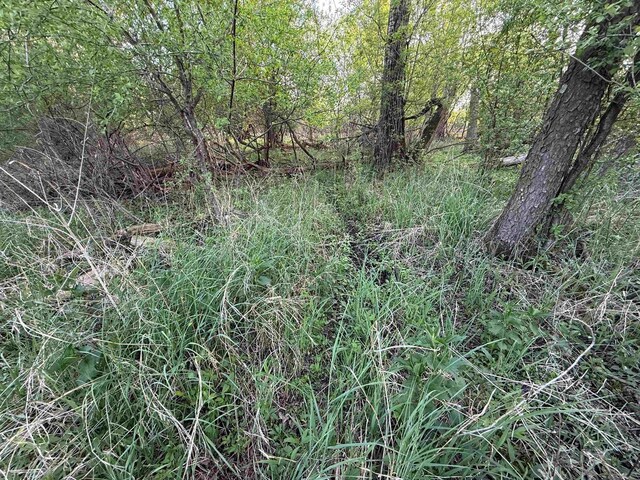 N8718 Starr Rd, Portage, WI 53901 - view of undeveloped land