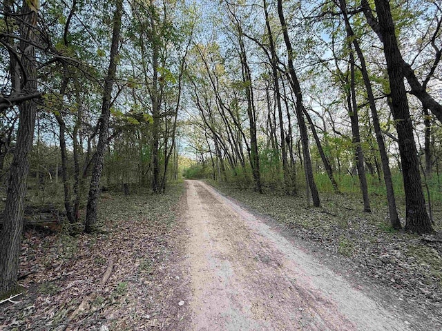 N8718 Starr Rd, Portage, WI 53901 - view of dirt / gravel road featuring a view of trees