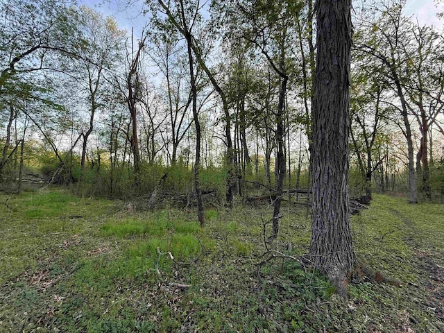 N8718 Starr Rd, Portage, WI 53901 - view of undeveloped land