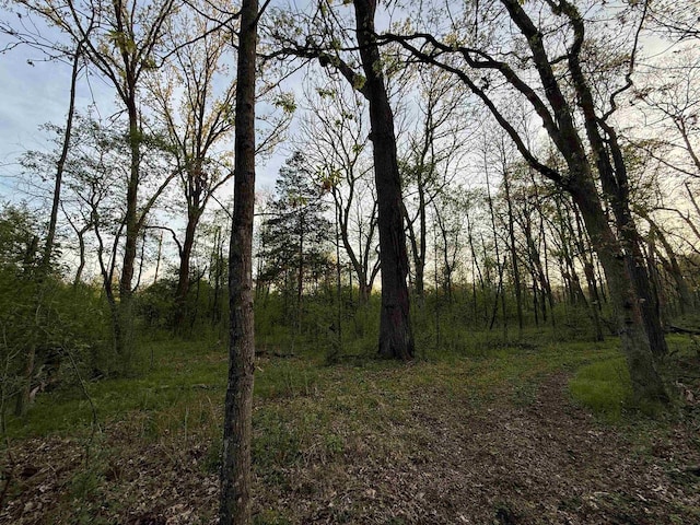 N8718 Starr Rd, Portage, WI 53901 - view of woods