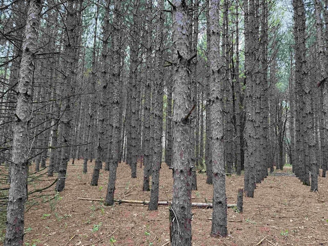N8718 Starr Rd, Portage, WI 53901 - view of wooded area