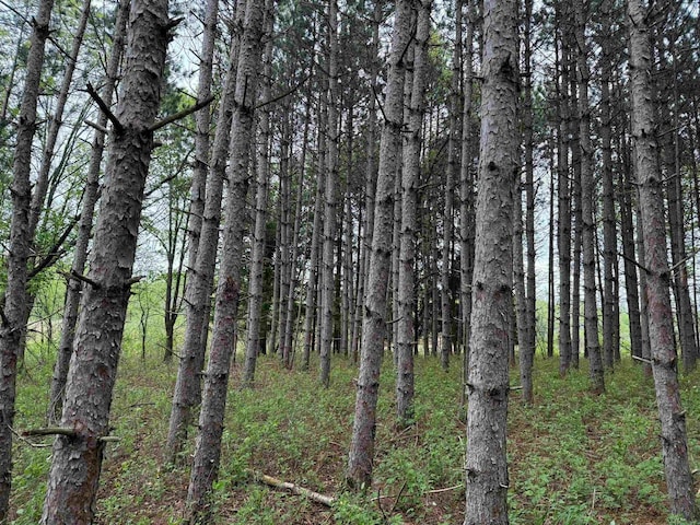 N8718 Starr Rd, Portage, WI 53901 - view of wooded area