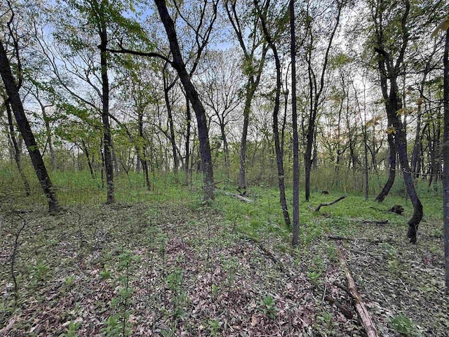 N8718 Starr Rd, Portage, WI 53901 - view of woods